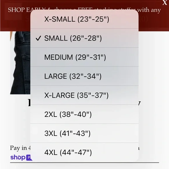 Dene Adams Concealed Carry Corset- Black BRAND NEW - Picture 6 of 10
